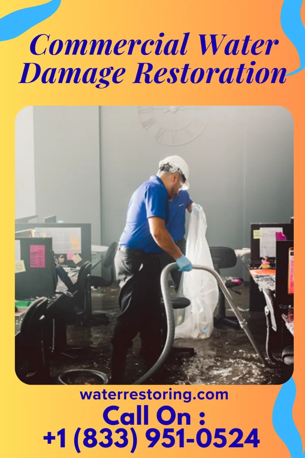 Commercial Water Damage Restoration in Harbor Springs, MI