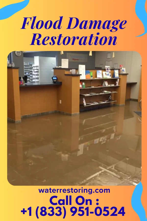 Flood Damage Restoration in Harbor Springs, MI